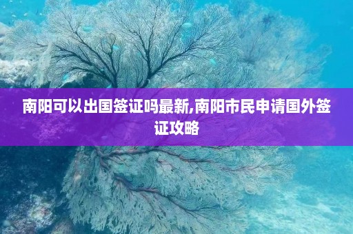 南阳可以出国签证吗最新,南阳市民申请国外签证攻略