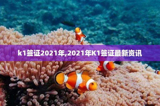 k1签证2021年,2021年K1签证最新资讯