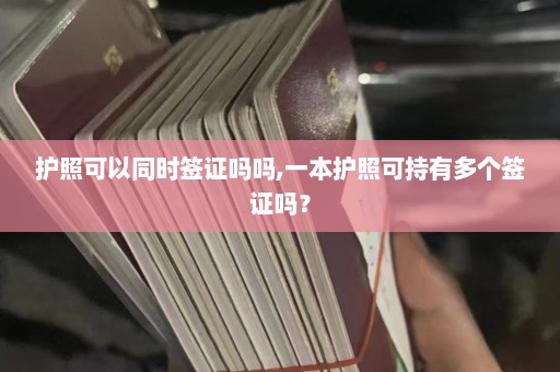 护照可以同时签证吗吗,一本护照可持有多个签证吗？  第1张