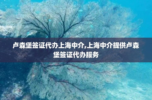 卢森堡签证代办上海中介,上海中介提供卢森堡签证代办服务