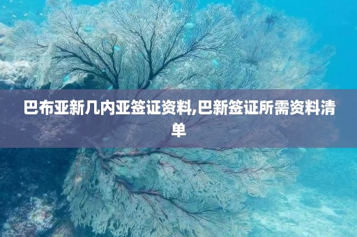 巴布亚新几内亚签证资料,巴新签证所需资料清单