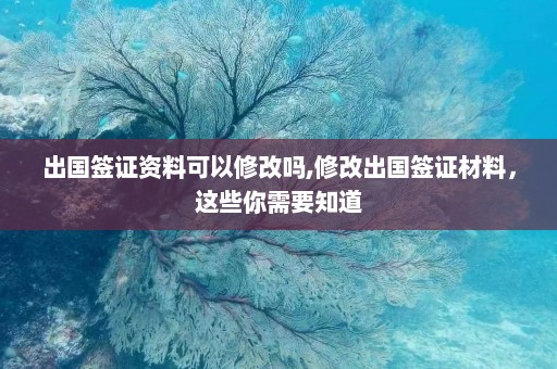 出国签证资料可以修改吗,修改出国签证材料，这些你需要知道