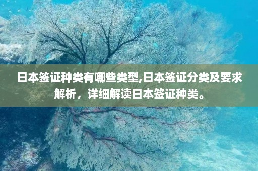 日本签证种类有哪些类型,日本签证分类及要求解析，详细解读日本签证种类。