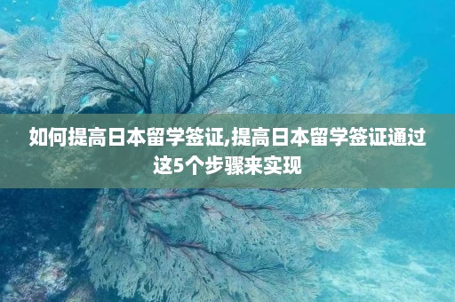 如何提高日本留学签证,提高日本留学签证通过这5个步骤来实现