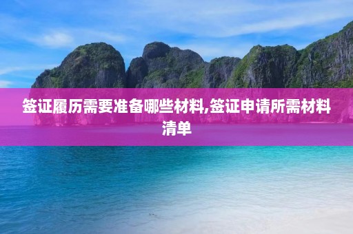 签证履历需要准备哪些材料,签证申请所需材料清单