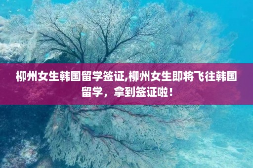 柳州女生韩国留学签证,柳州女生即将飞往韩国留学，拿到签证啦！