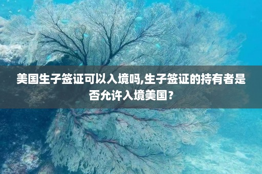 美国生子签证可以入境吗,生子签证的持有者是否允许入境美国？