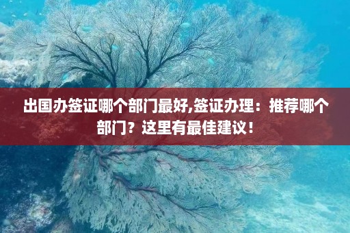 出国办签证哪个部门最好,签证办理：推荐哪个部门？这里有最佳建议！