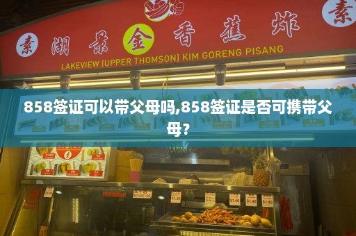 858签证可以带父母吗,858签证是否可携带父母？