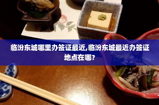 临汾东城哪里办签证最近,临汾东城最近办签证地点在哪？