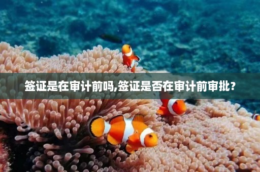 签证是在审计前吗,签证是否在审计前审批？