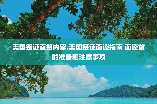 美国签证面签内容,美国签证面谈指南 面谈前的准备和注意事项