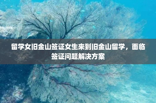 留学女旧金山签证女生来到旧金山留学，面临签证问题解决方案