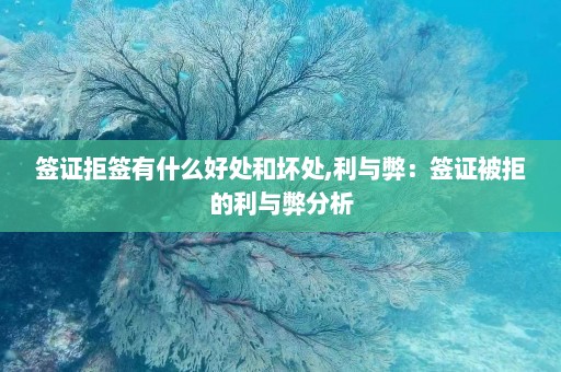 签证拒签有什么好处和坏处,利与弊：签证被拒的利与弊分析