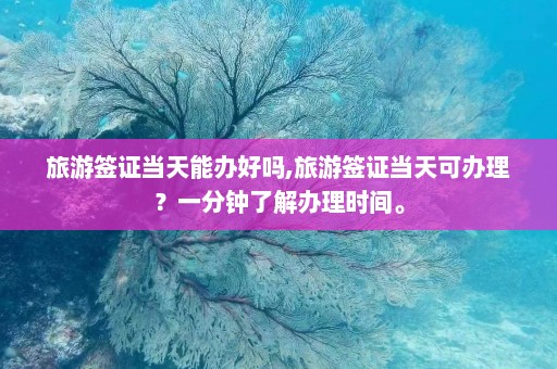 旅游签证当天能办好吗,旅游签证当天可办理？一分钟了解办理时间。