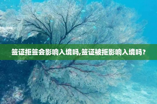 签证拒签会影响入境吗,签证被拒影响入境吗？