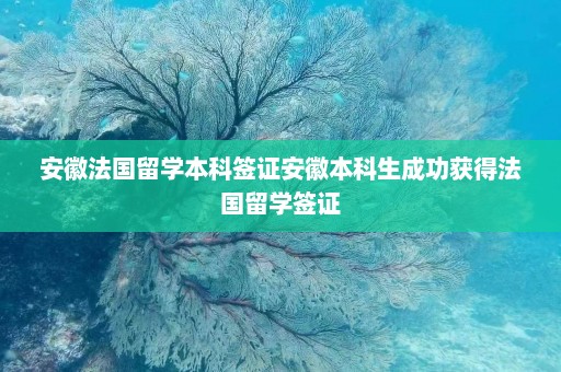 安徽法国留学本科签证安徽本科生成功获得法国留学签证