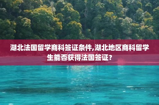 湖北法国留学商科签证条件,湖北地区商科留学生能否获得法国签证？