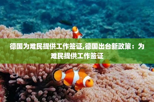 德国为难民提供工作签证,德国出台新政策：为难民提供工作签证