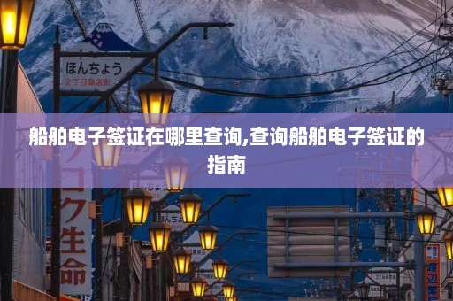 船舶电子签证在哪里查询,查询船舶电子签证的指南