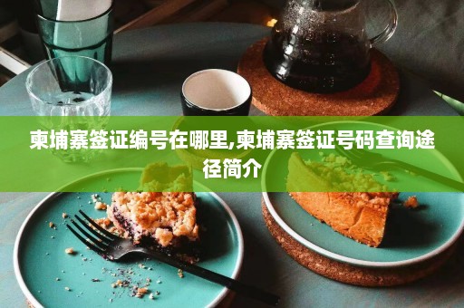 柬埔寨签证编号在哪里,柬埔寨签证号码查询途径简介