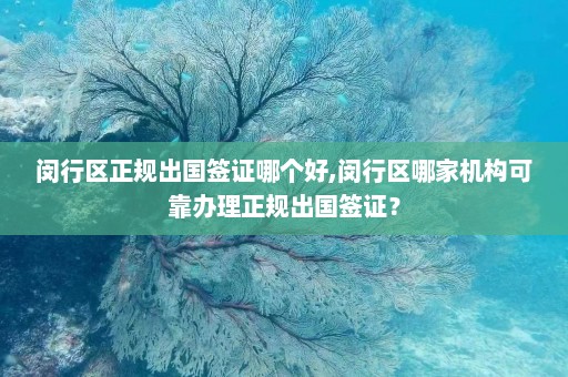 闵行区正规出国签证哪个好,闵行区哪家机构可靠办理正规出国签证？