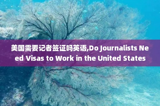 美国需要记者签证吗英语,Do Journalists Need Visas to Work in the United States