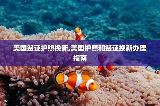 美国签证护照换新,美国护照和签证换新办理指南