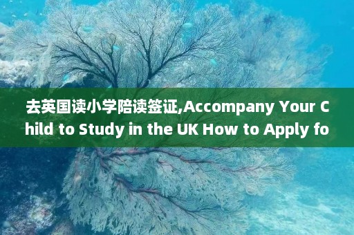 去英国读小学陪读签证,Accompany Your Child to Study in the UK How to Apply for a Primary School Parent Visa