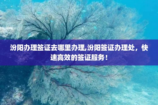 汾阳办理签证去哪里办理,汾阳签证办理处，快速高效的签证服务！