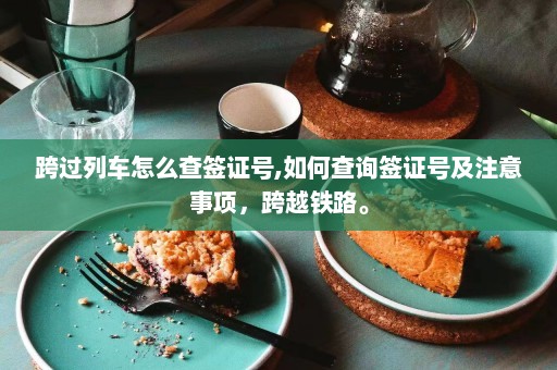 跨过列车怎么查签证号,如何查询签证号及注意事项，跨越铁路。