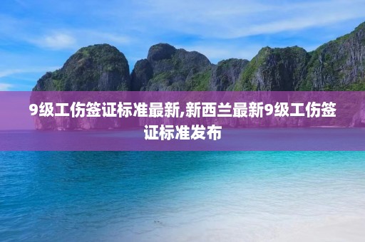 9级工伤签证标准最新,新西兰最新9级工伤签证标准发布