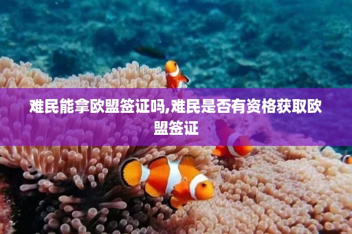 难民能拿欧盟签证吗,难民是否有资格获取欧盟签证