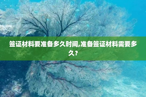 签证材料要准备多久时间,准备签证材料需要多久？