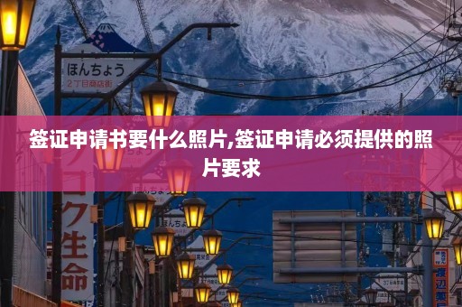 签证申请书要什么照片,签证申请必须提供的照片要求