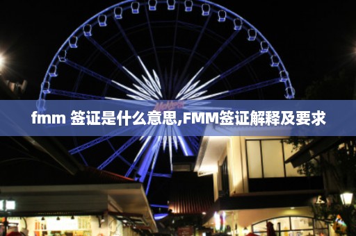 fmm 签证是什么意思,FMM签证解释及要求  第1张