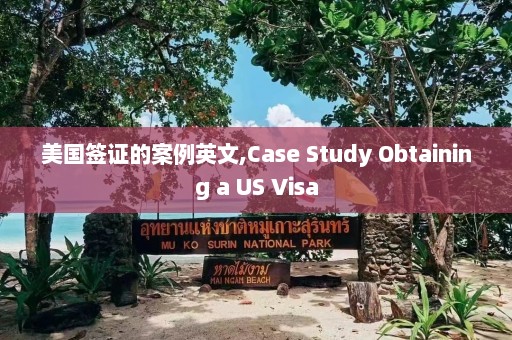 美国签证的案例英文,Case Study Obtaining a US Visa