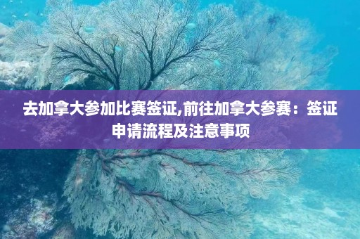 去加拿大参加比赛签证,前往加拿大参赛：签证申请流程及注意事项