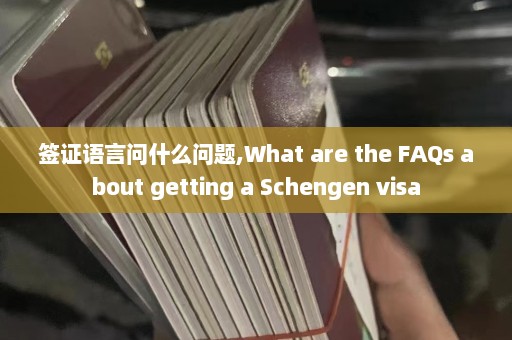 签证语言问什么问题,What are the FAQs about getting a Schengen visa  第1张