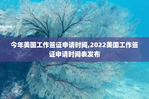 今年美国工作签证申请时间,2022美国工作签证申请时间表发布