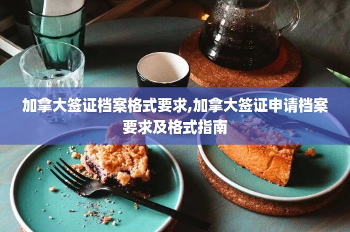 加拿大签证档案格式要求,加拿大签证申请档案要求及格式指南