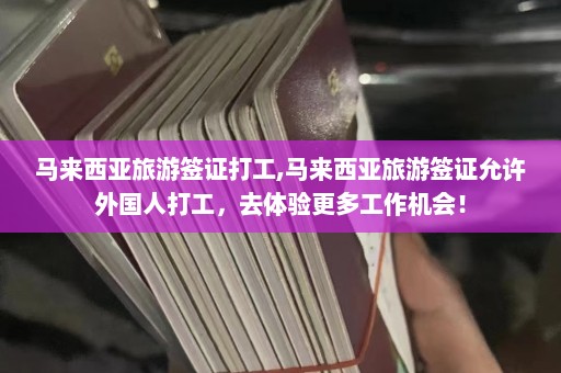 马来西亚旅游签证打工,马来西亚旅游签证允许外国人打工，去体验更多工作机会！  第1张