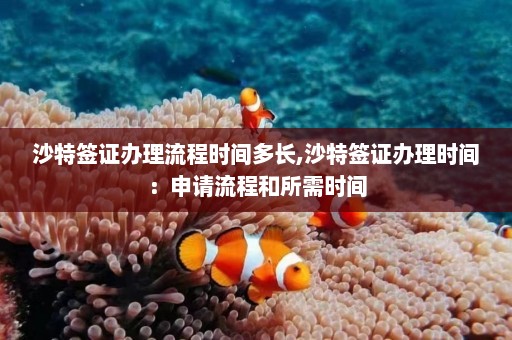 沙特签证办理流程时间多长,沙特签证办理时间：申请流程和所需时间