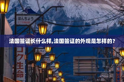 法国签证长什么样,法国签证的外观是怎样的？