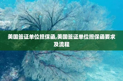 美国签证单位担保函,美国签证单位担保函要求及流程