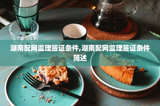 湖南配网监理签证条件,湖南配网监理签证条件简述