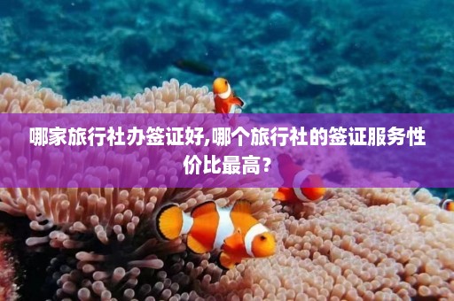 哪家旅行社办签证好,哪个旅行社的签证服务性价比最高？