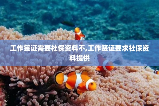 工作签证需要社保资料不,工作签证要求社保资料提供