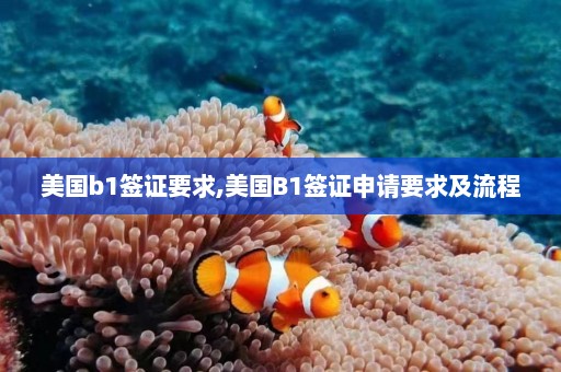 美国b1签证要求,美国B1签证申请要求及流程