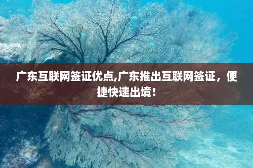 广东互联网签证优点,广东推出互联网签证，便捷快速出境！